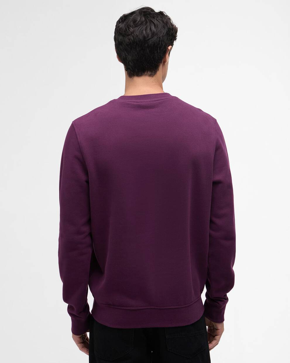 Essential Graphic Crew Sweatshirt