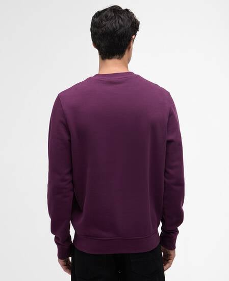 Essential Graphic Crew Sweatshirt Potent Merlot
