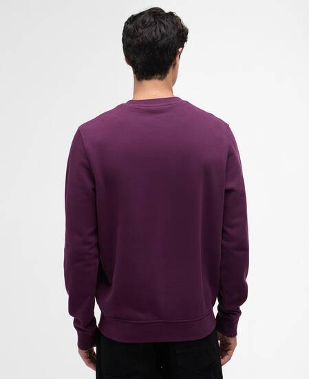 Essential Graphic Crew Sweatshirt Potent Merlot