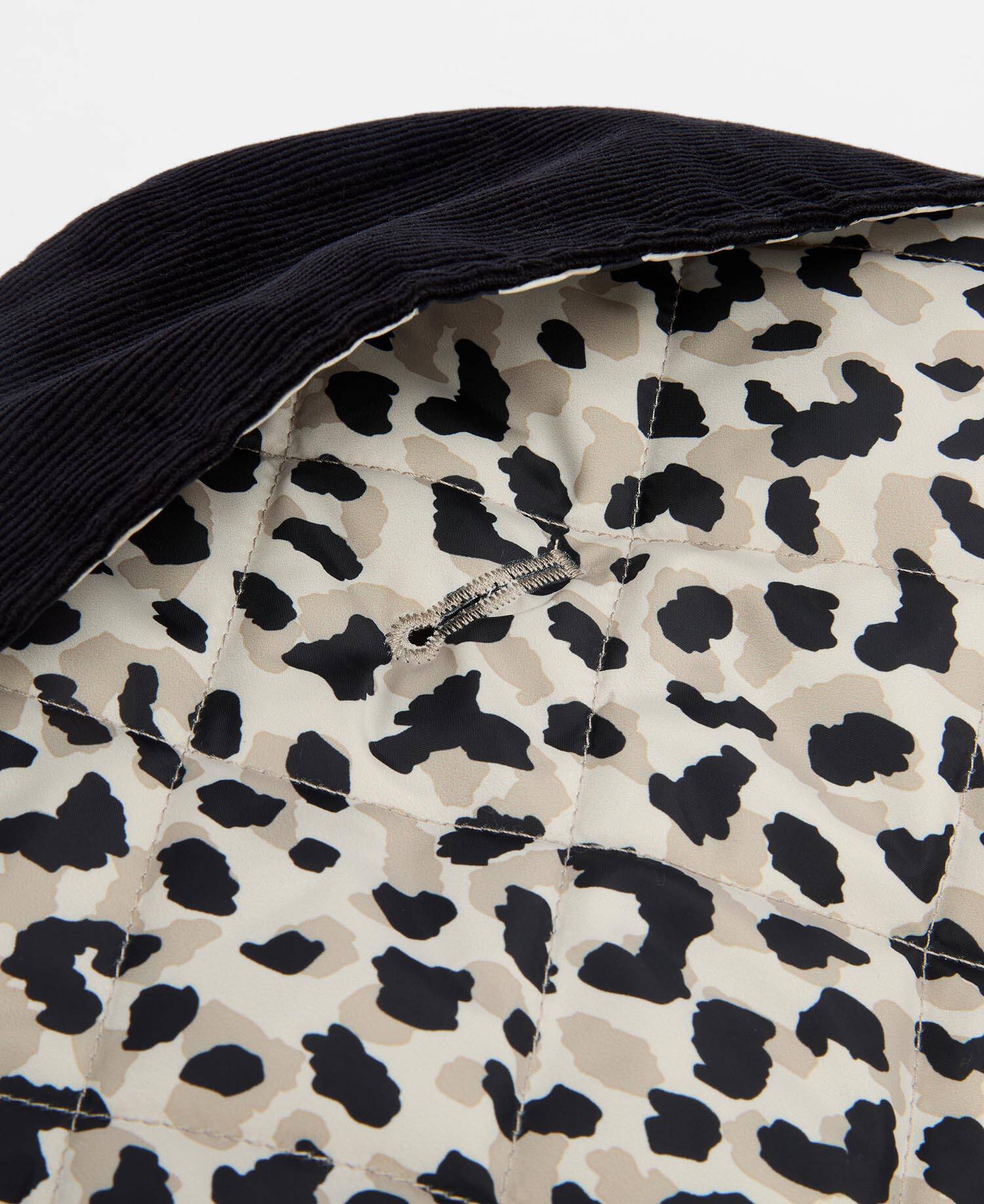 Harley Quilted Dog Coat image number 5