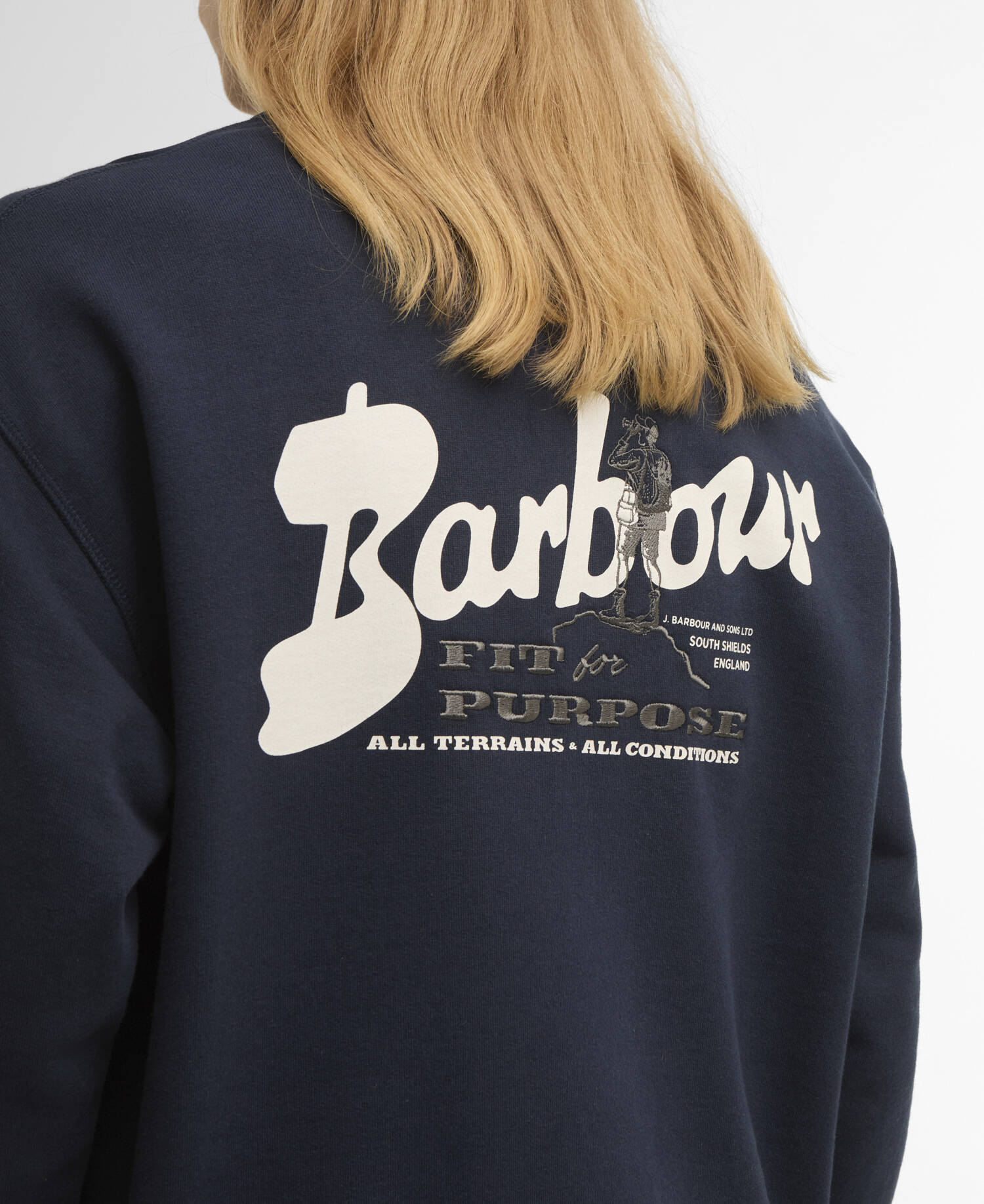 Blythe Crew Neck Jumper image number 4