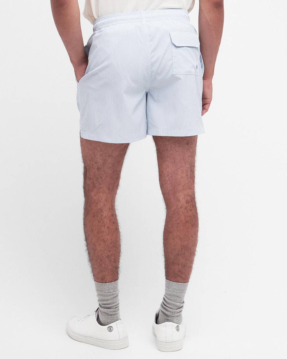 Somerset Pinstripe Swim Shorts