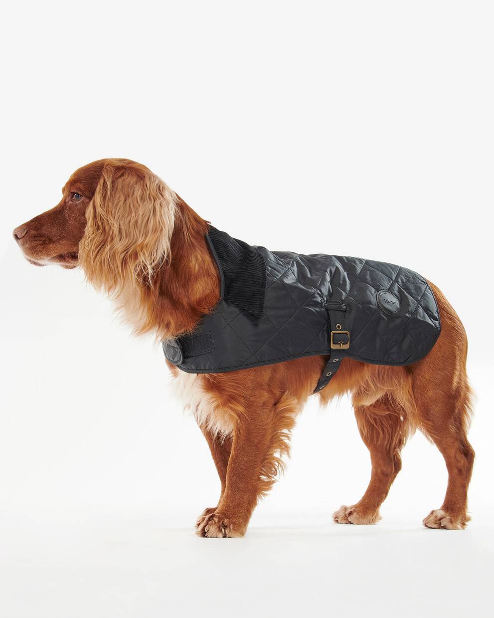 Quilted Dog Coat