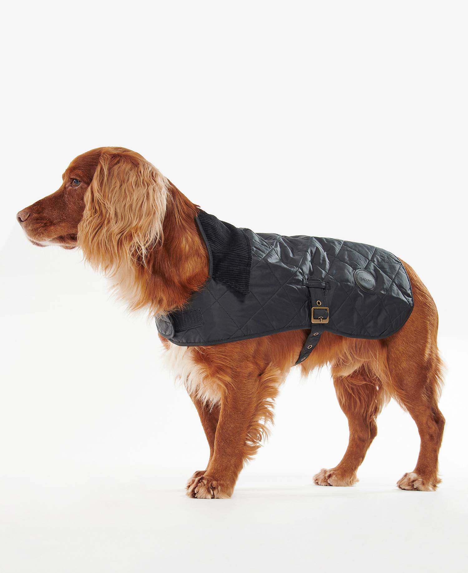 Quilted Dog Coat Classic Black image number 0