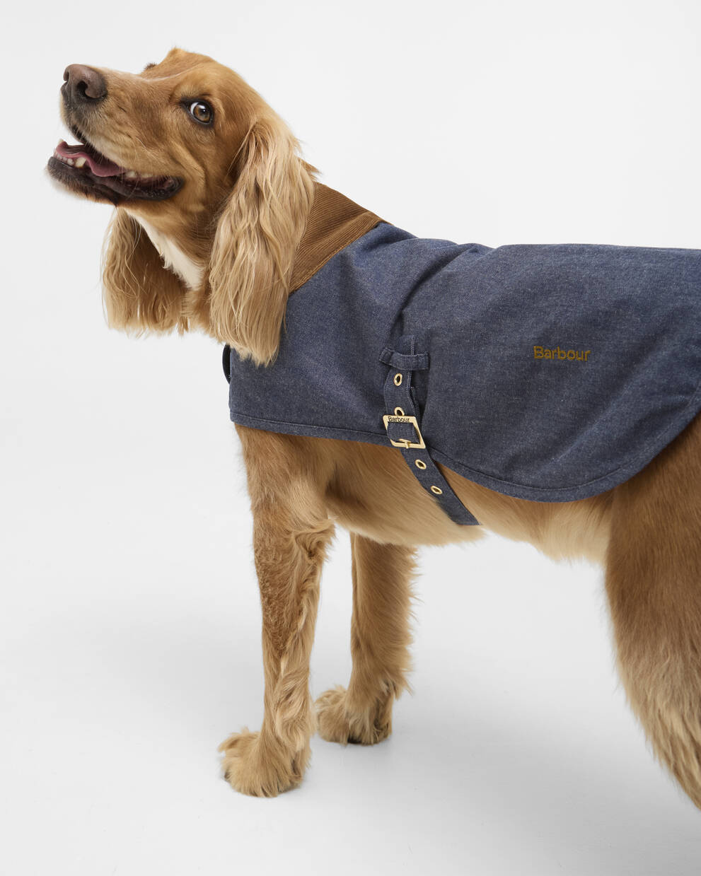 Denim Dry wax Dog Coat
