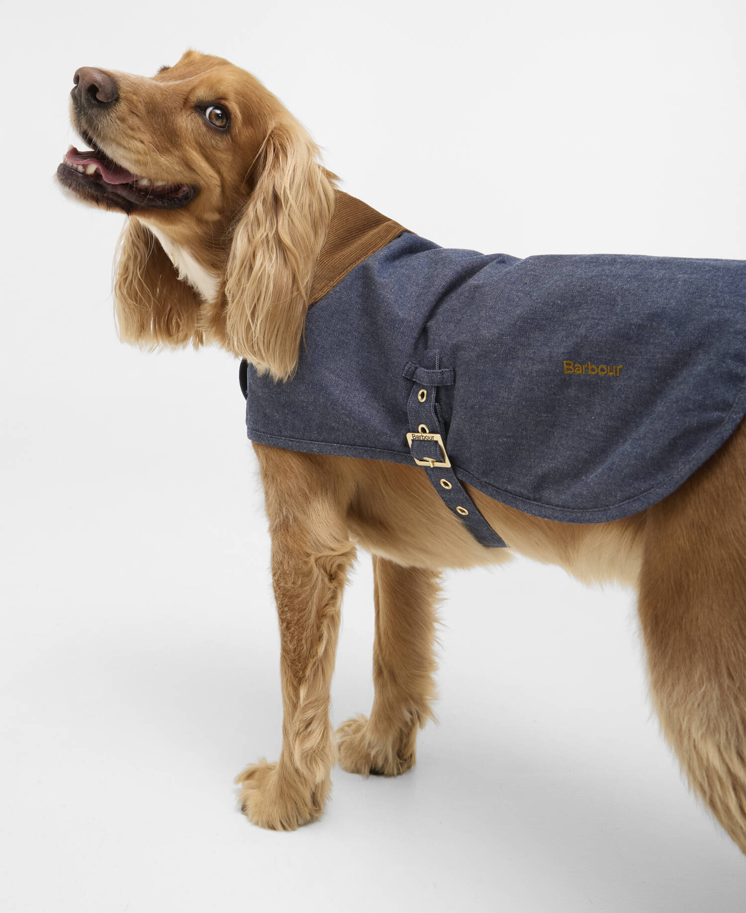 Denim Dry wax Dog Coat image number 1
