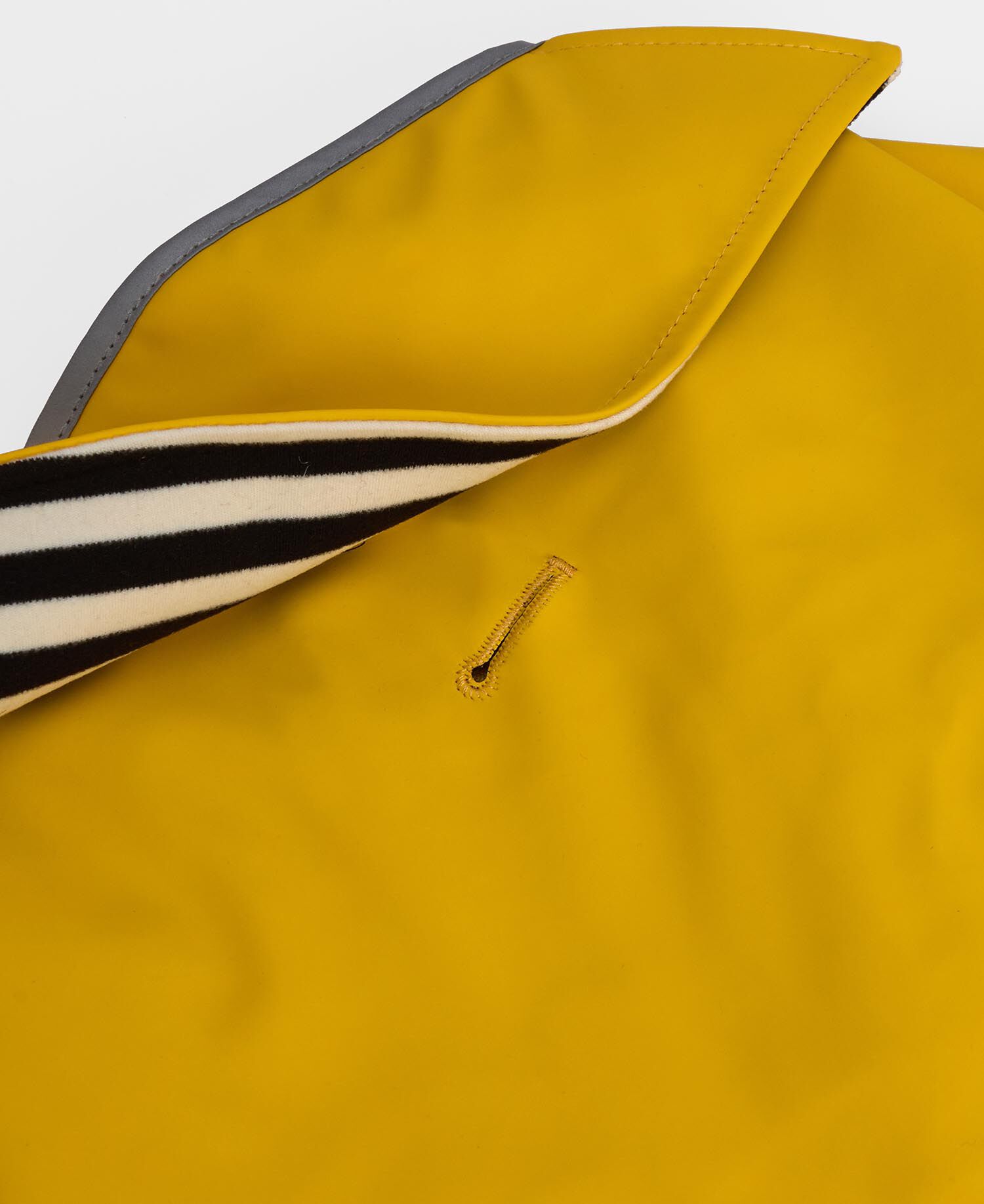 Evie Waterproof Dog Coat Limeade