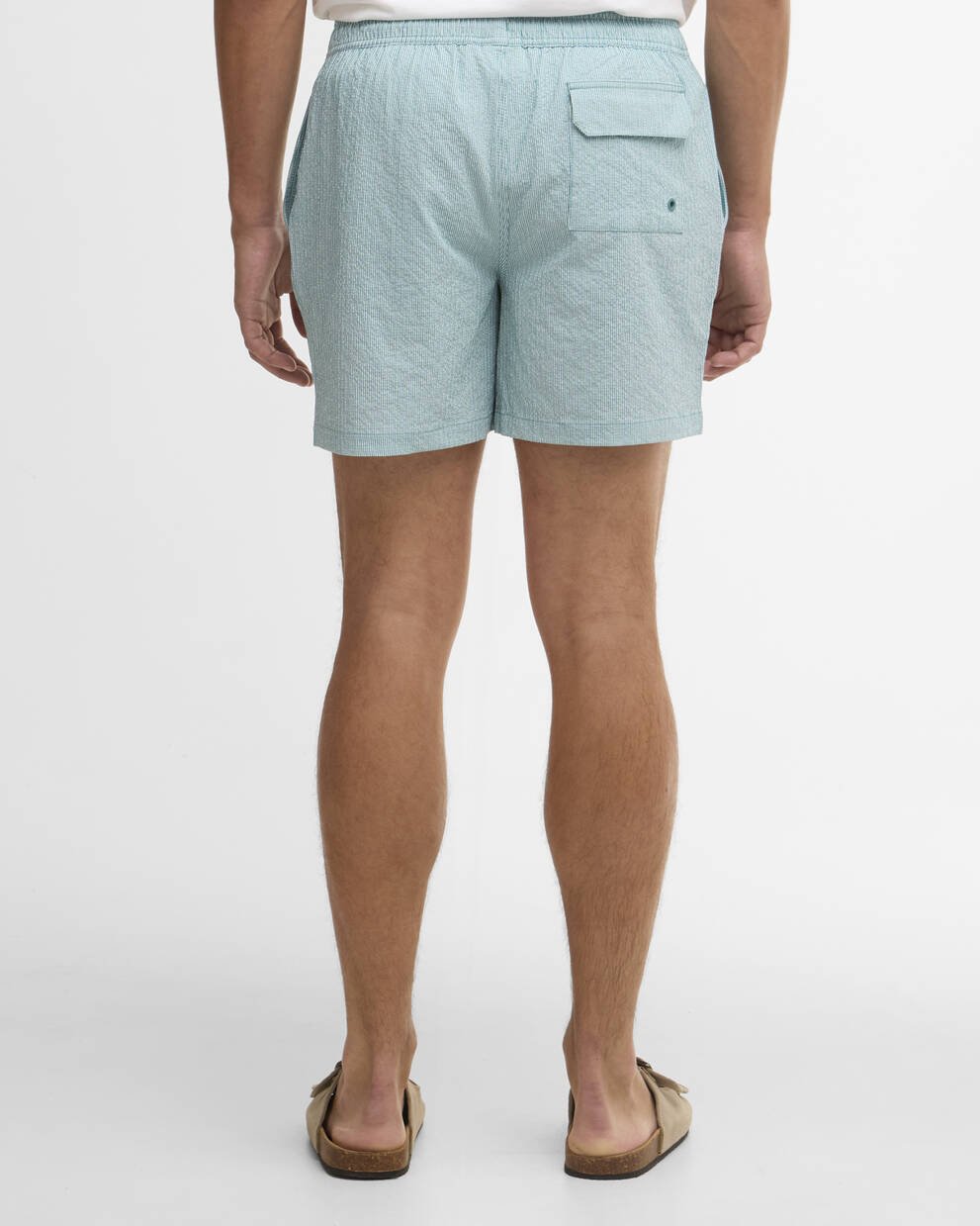 Somerset Pinstripe Swim Shorts