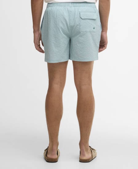 Somerset Pinstripe Swim Shorts Light Teal
