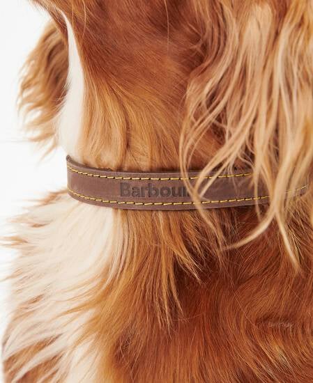 Leather Dog Collar Classic Brown