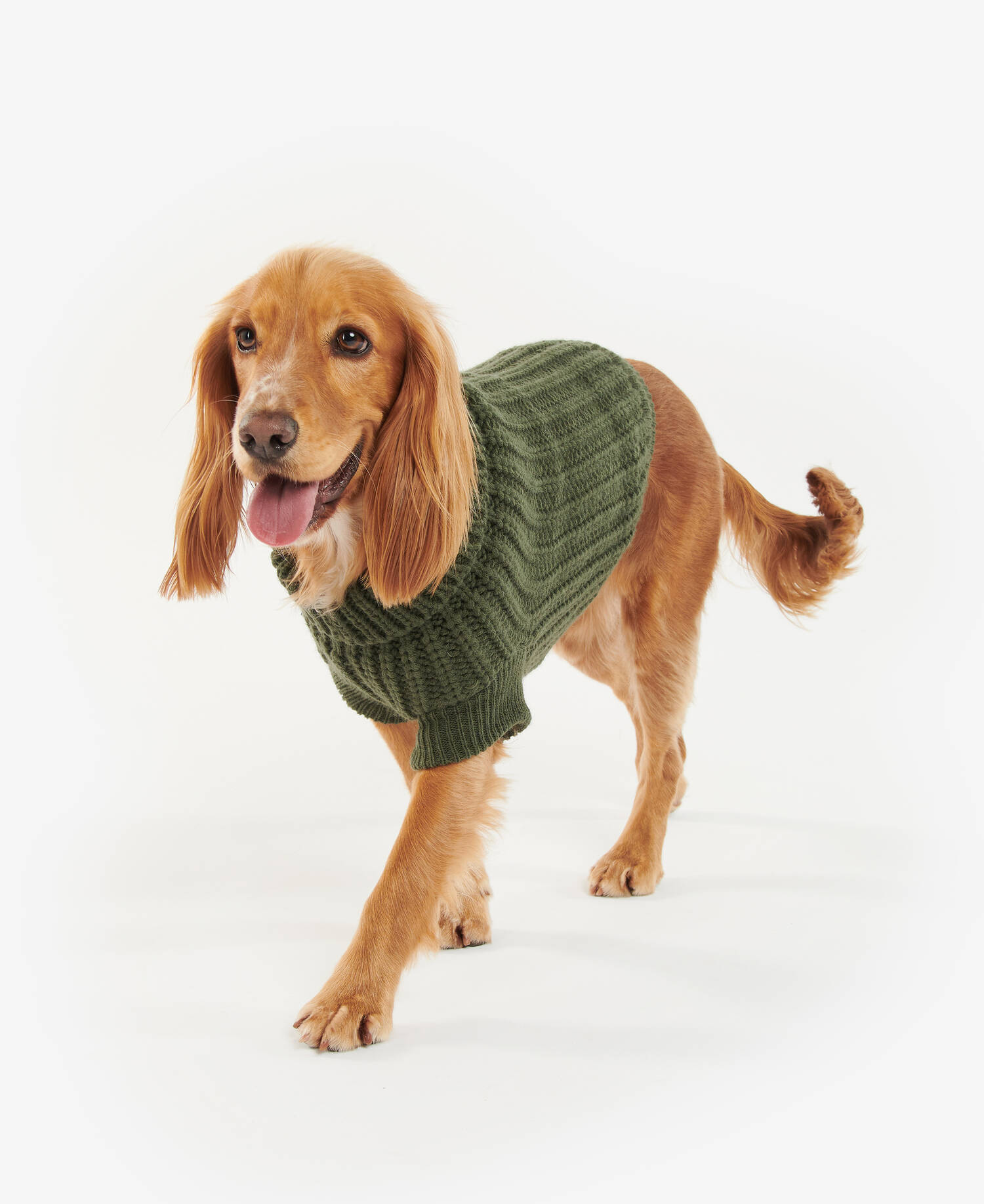 Saltburn Dog Jumper image number 1