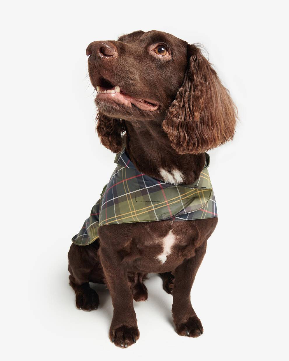 Packable Tartan Dog Coat