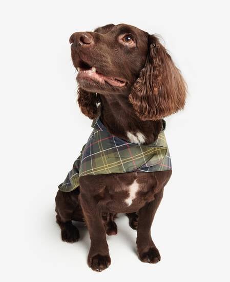 Cappottino per cani pieghevole Tartan 