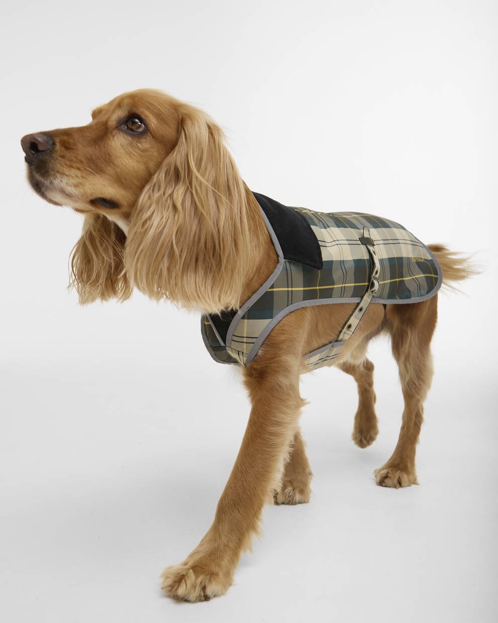 Waterproof Tartan Dog Coat