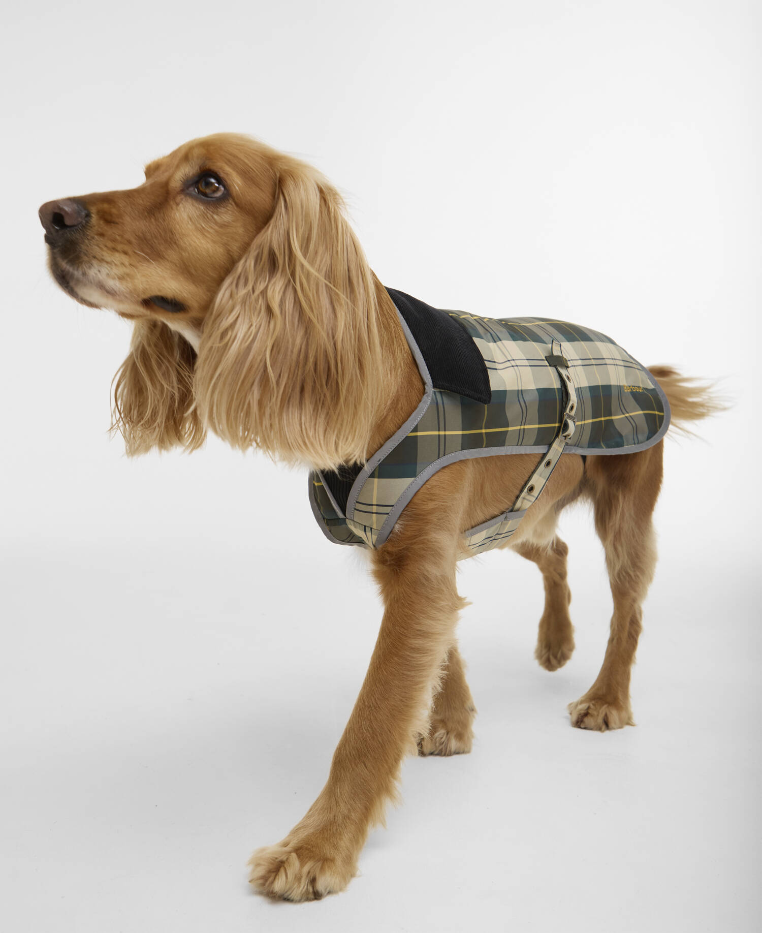 Waterproof Tartan Dog Coat image number 0