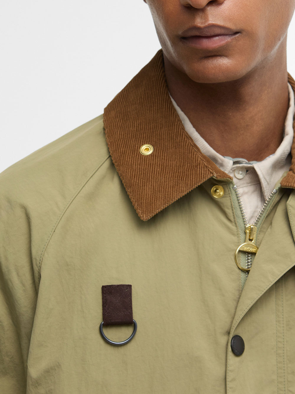 Immagine descrittiva