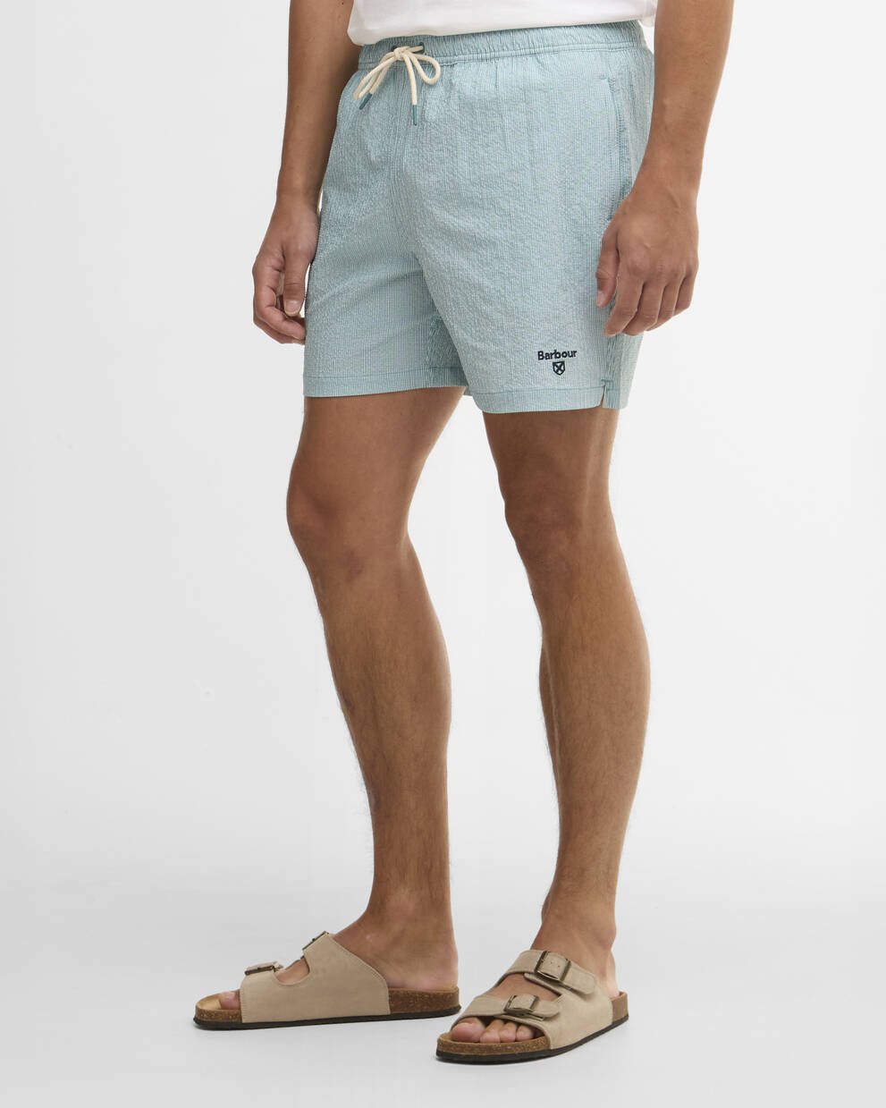 Somerset Pinstripe Swim Shorts