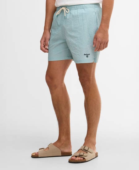 Somerset Pinstripe Swim Shorts Light Teal