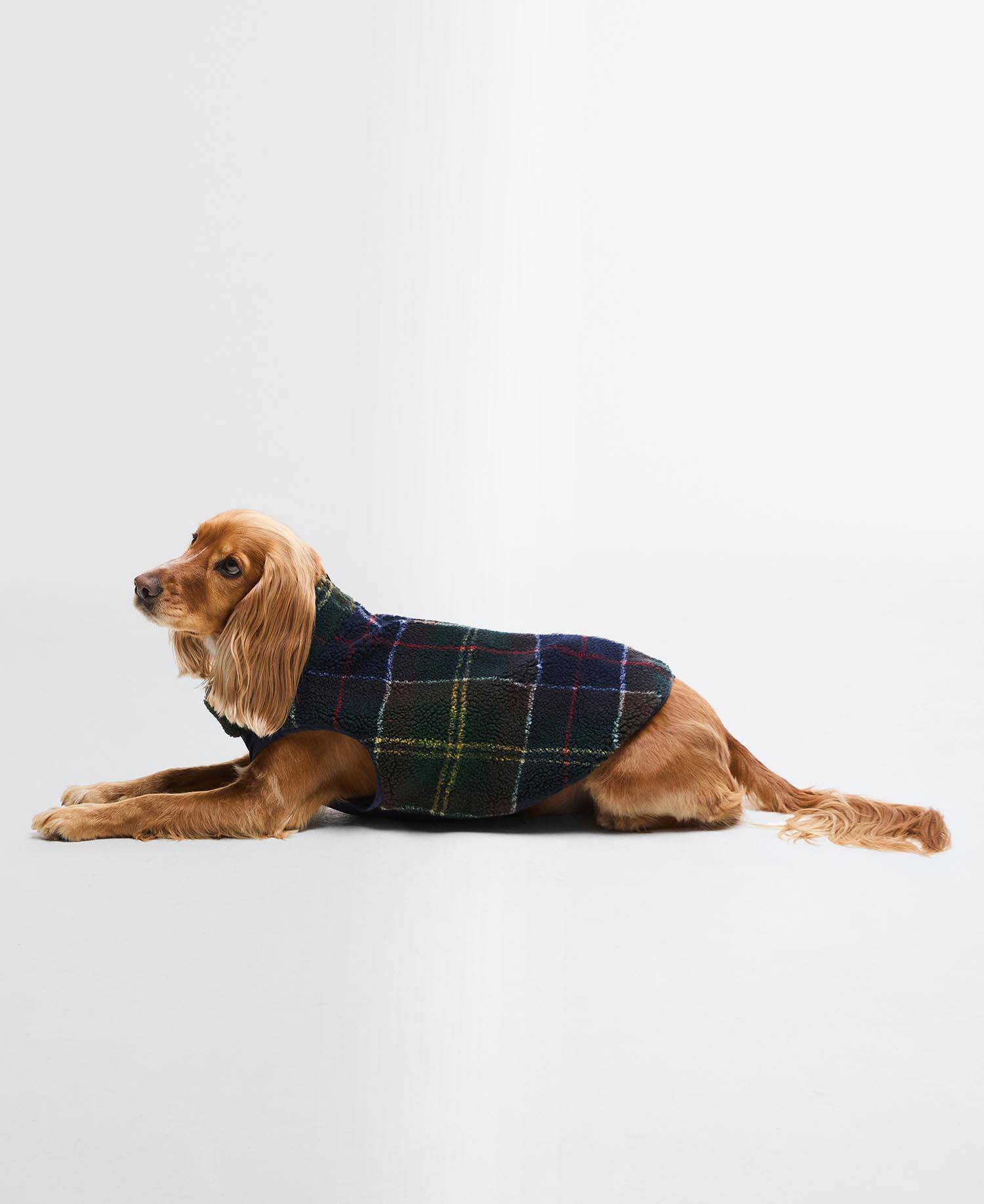 Field Reversible Dog Coat image number 4