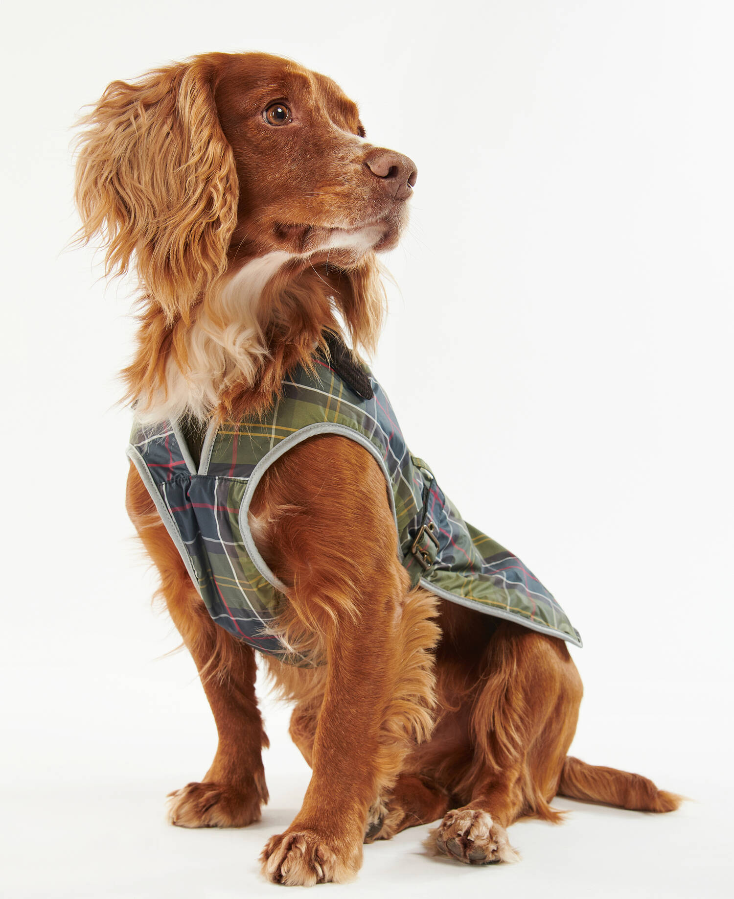 Cappotto impermeabile per cani Tartan image number 0