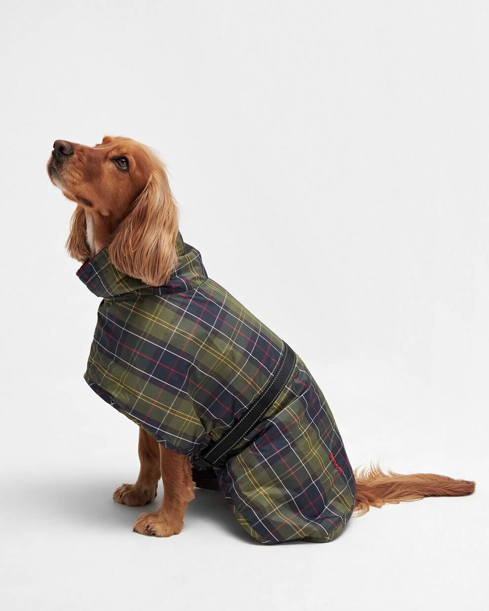 Tartan Dog Drying Robe