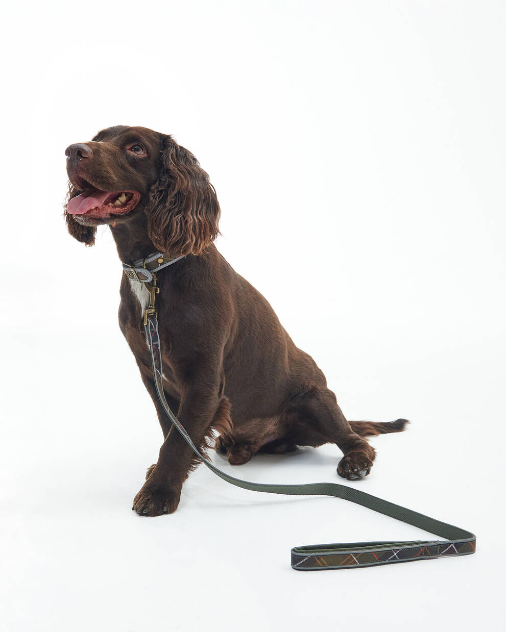 Reflective Tartan Comfort Dog Lead