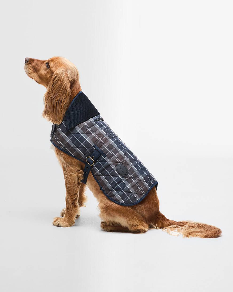 Tartan Hundemantel