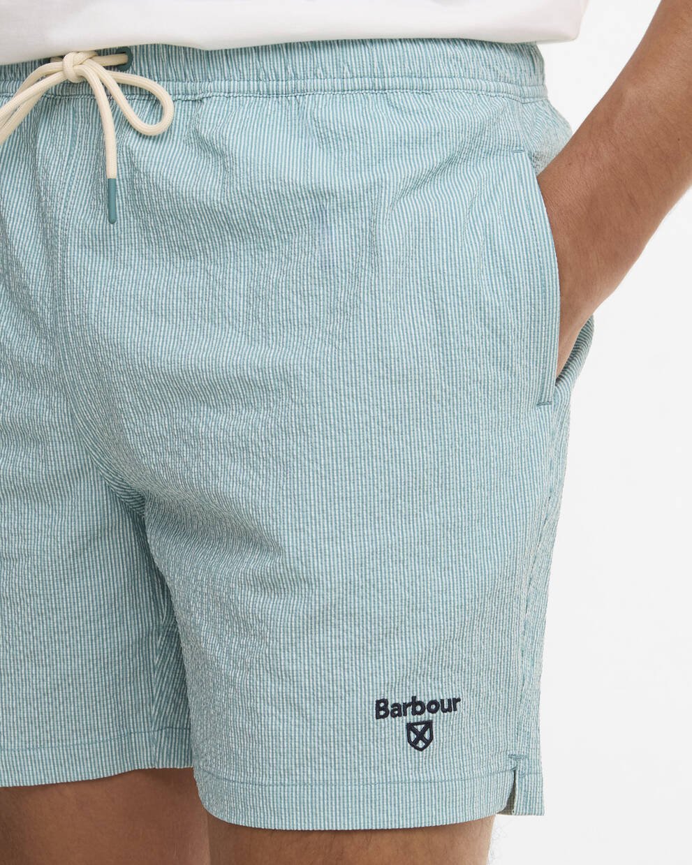 Somerset Pinstripe Swim Shorts