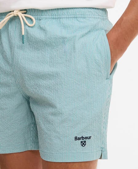 Somerset Pinstripe Swim Shorts Light Teal