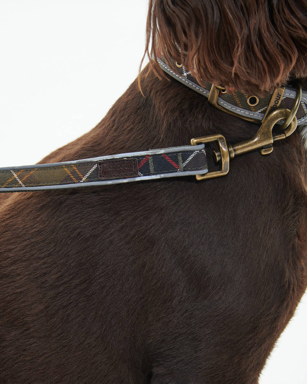 Reflective Tartan Comfort Dog Lead