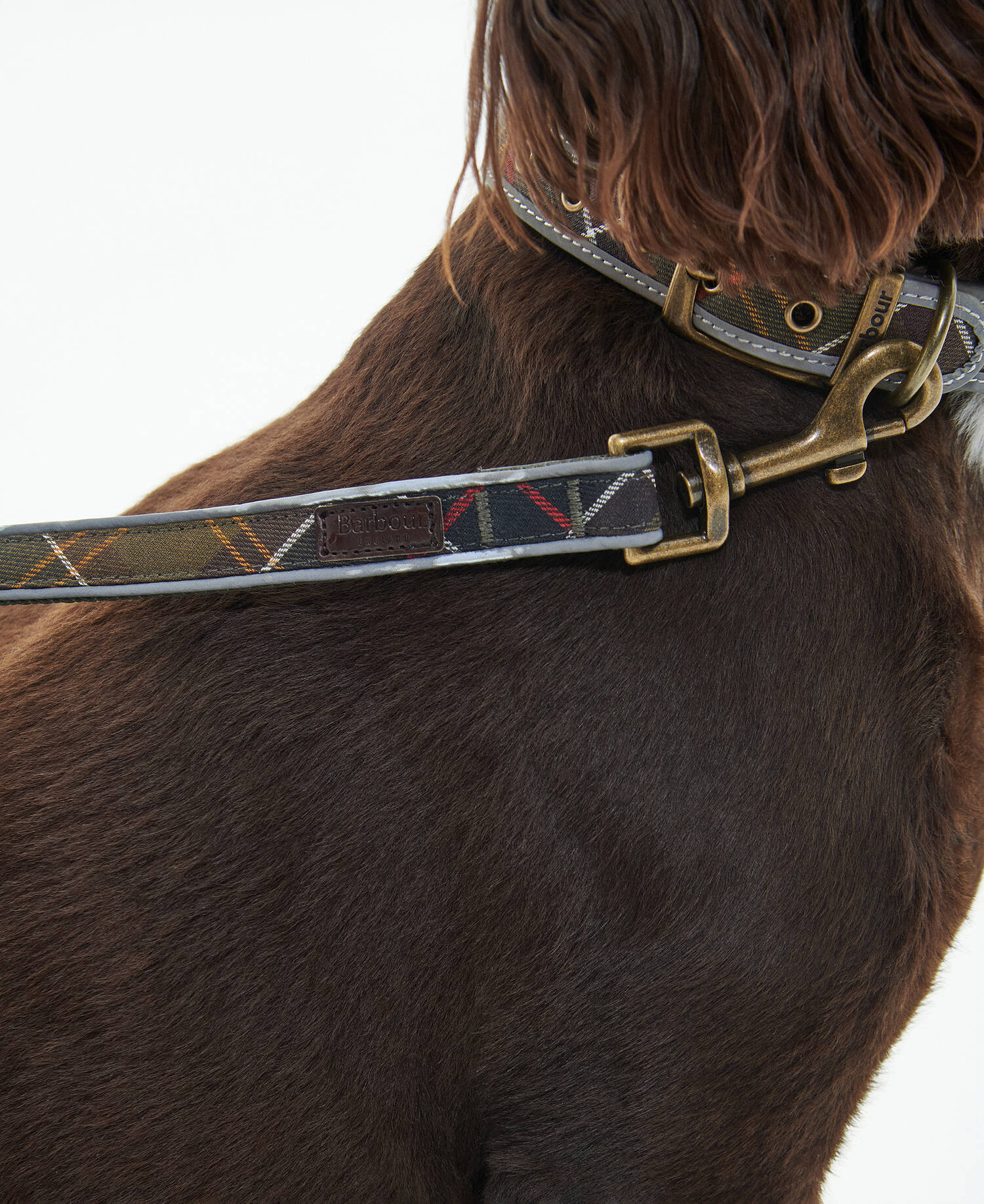 Reflective Tartan Comfort Dog Lead image number 2