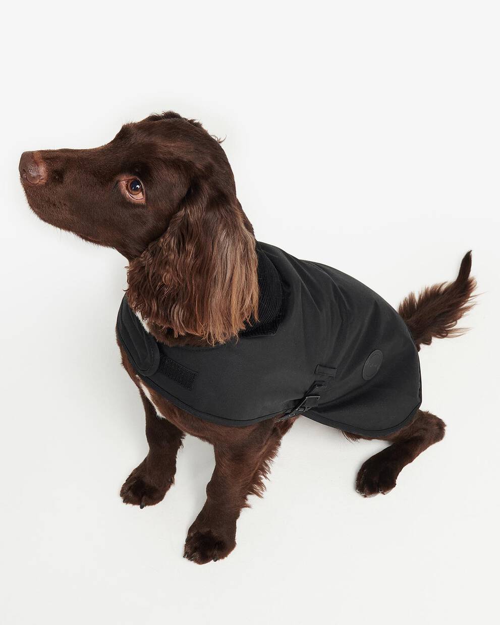 Waxed Dog Coat