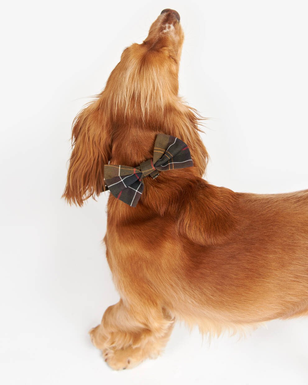 Tartan Dog Bow Tie