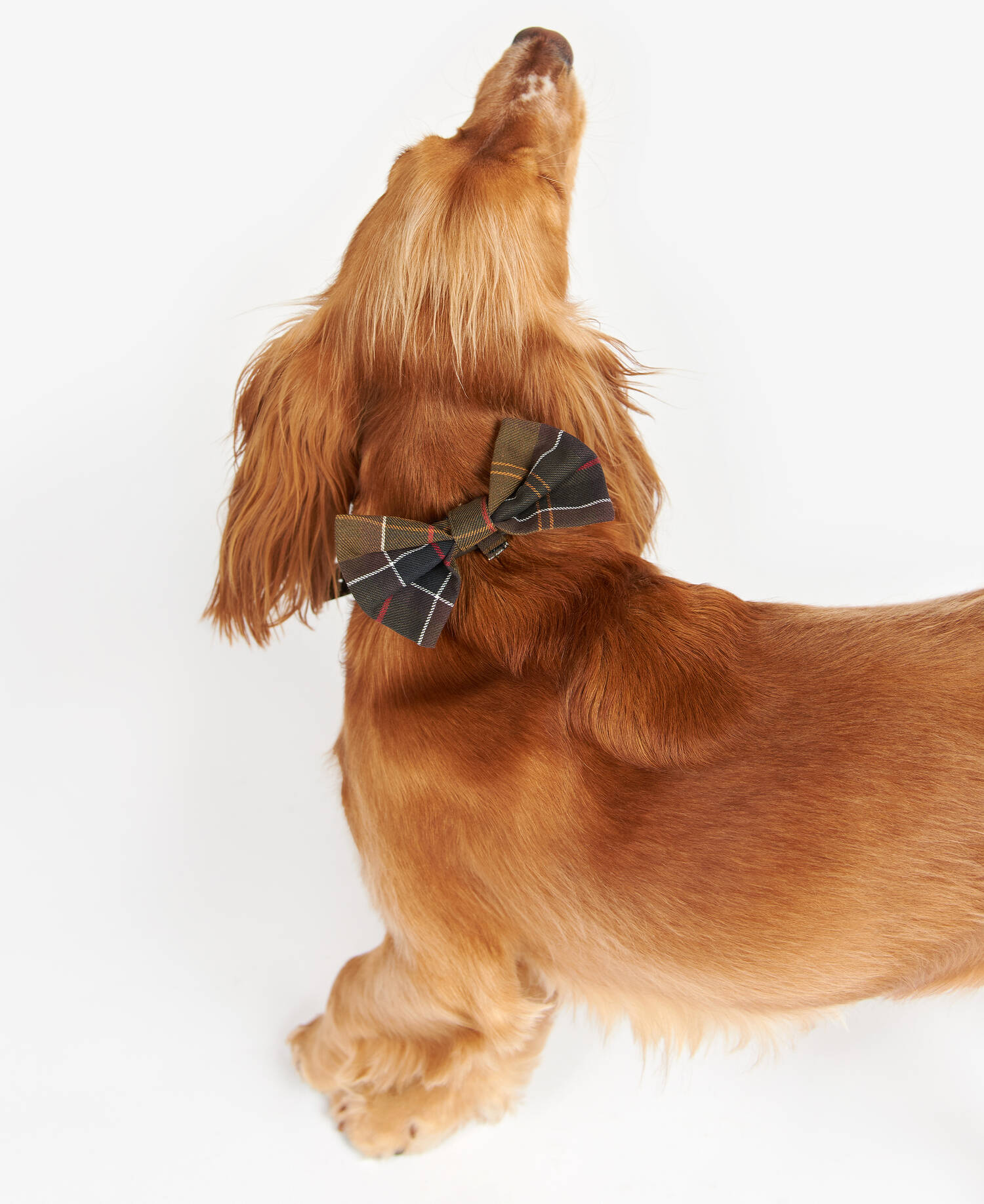 Tartan Dog Bow Tie image number 1