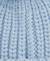 Ice Blueswatch
