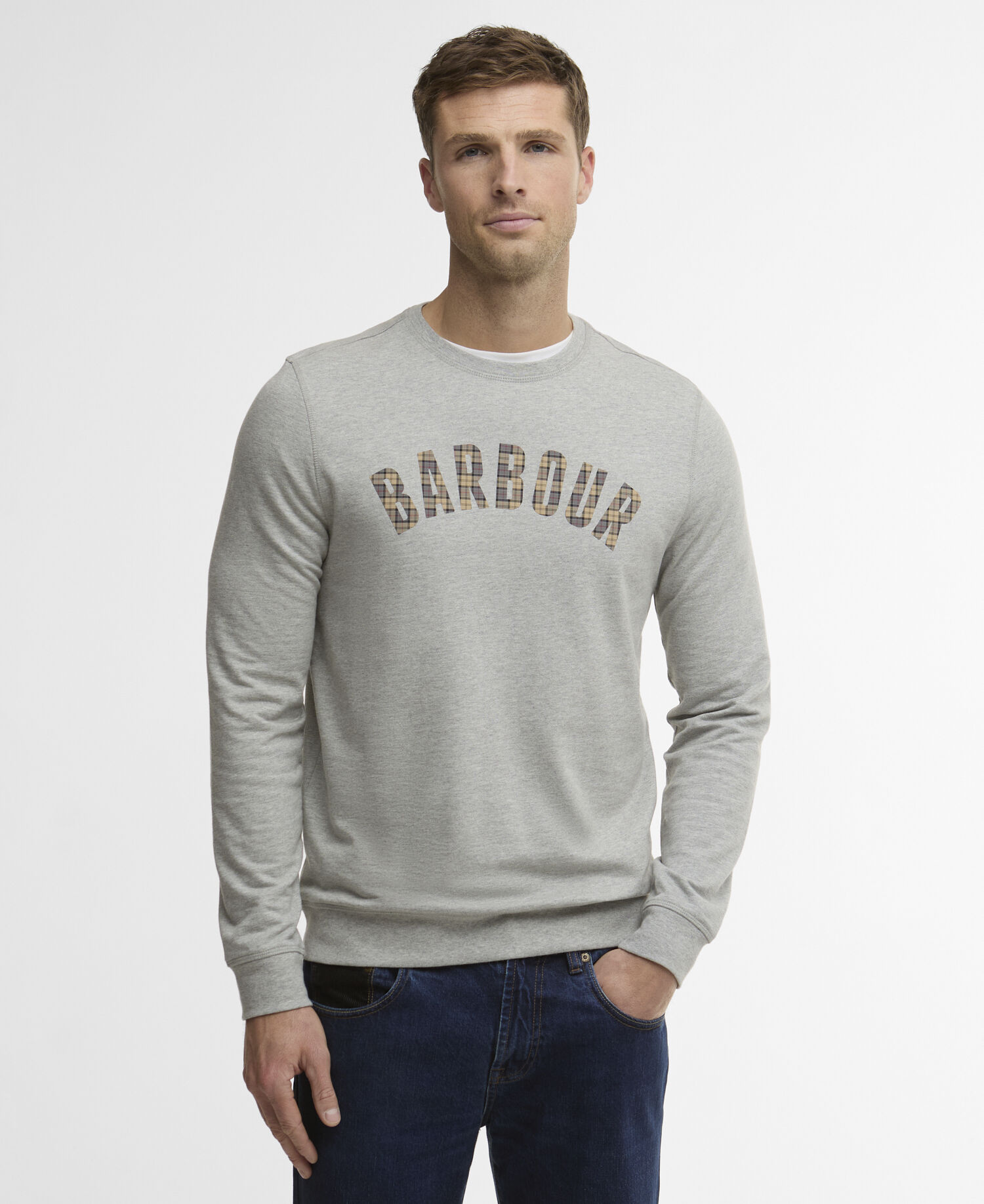 Berwick Crew Neck Jumper Grey Marl