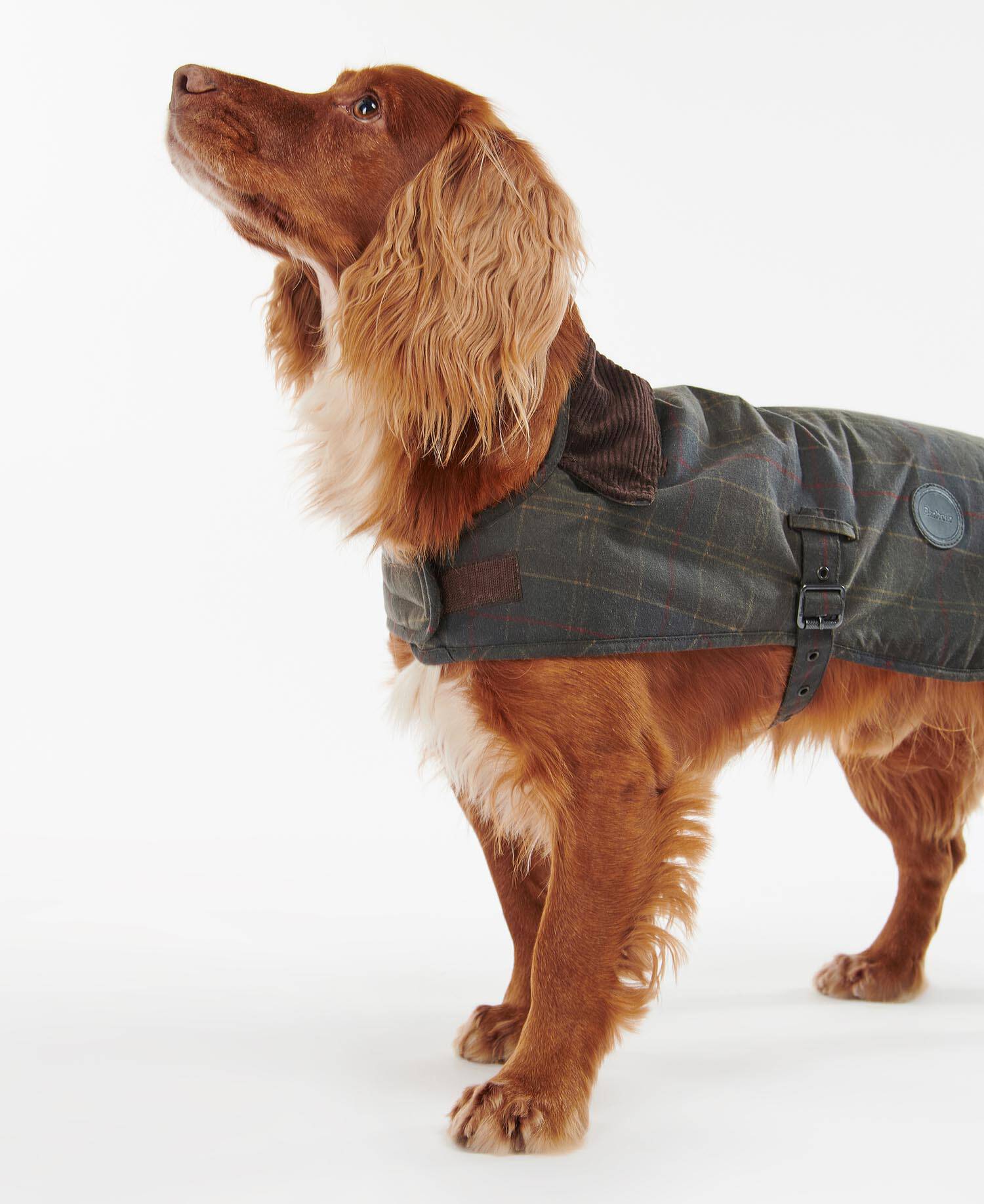 Tartan Waxed Dog Coat image number 0