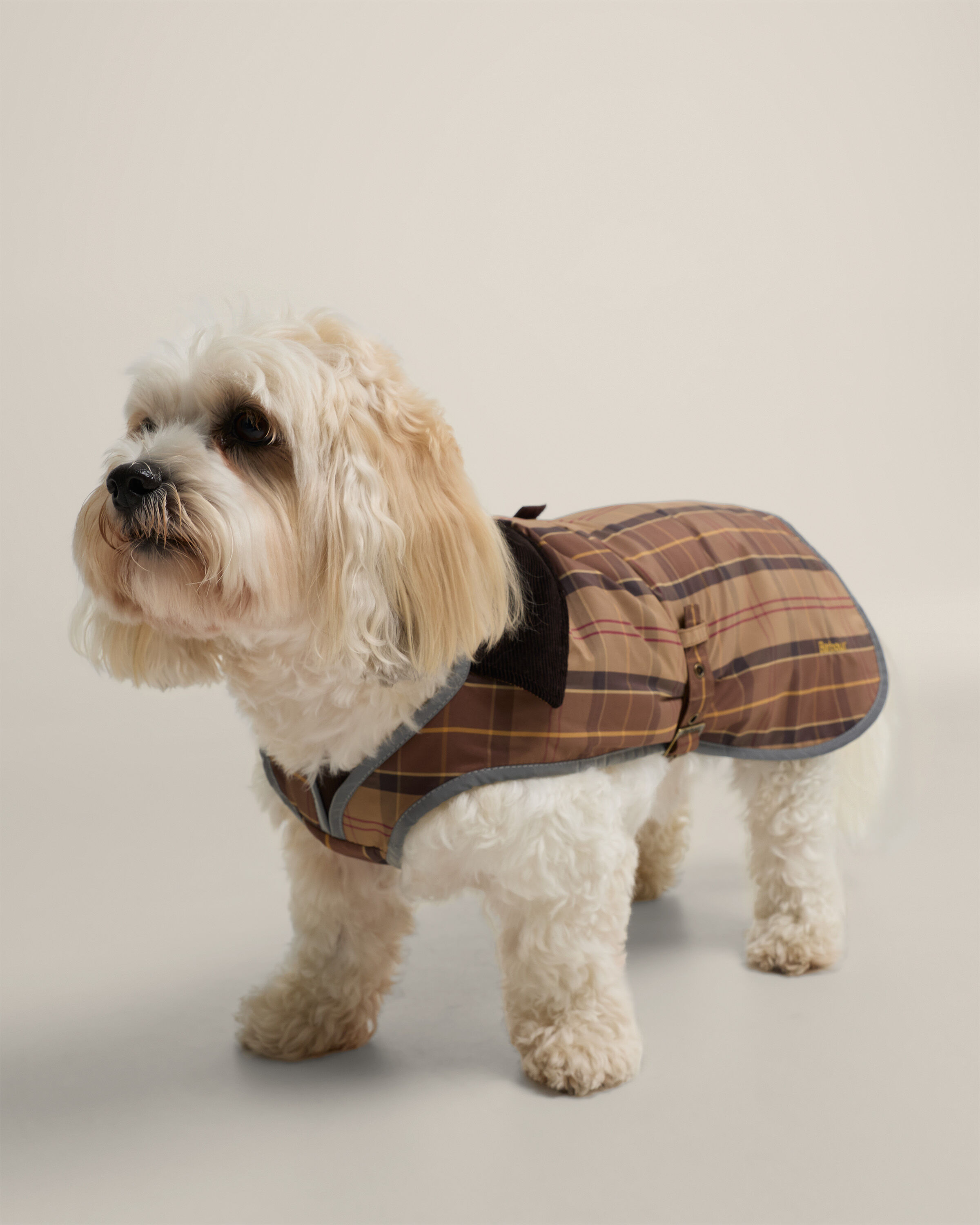 Waterproof Tartan Dog Coat