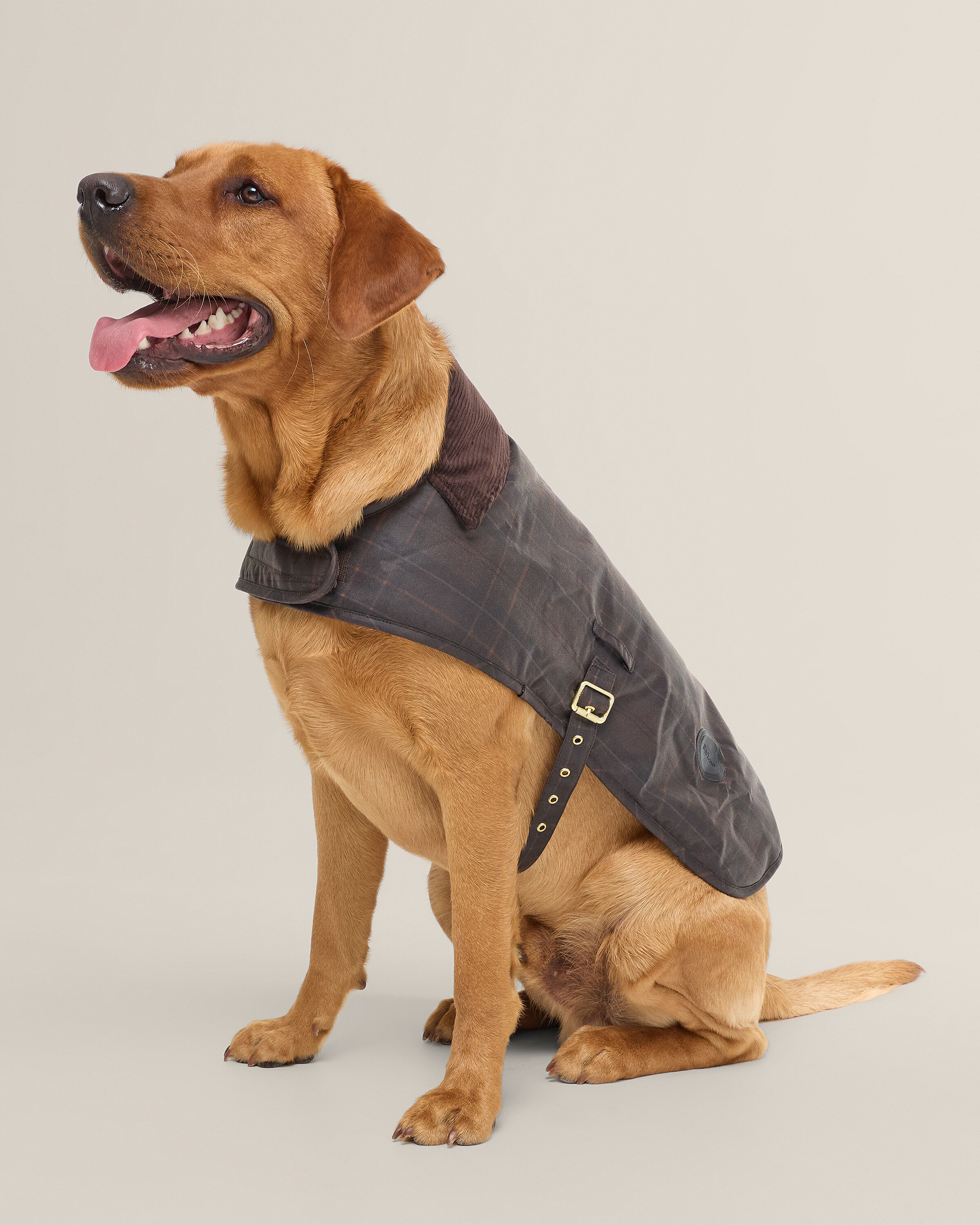 Tartan Wax Dog Coat