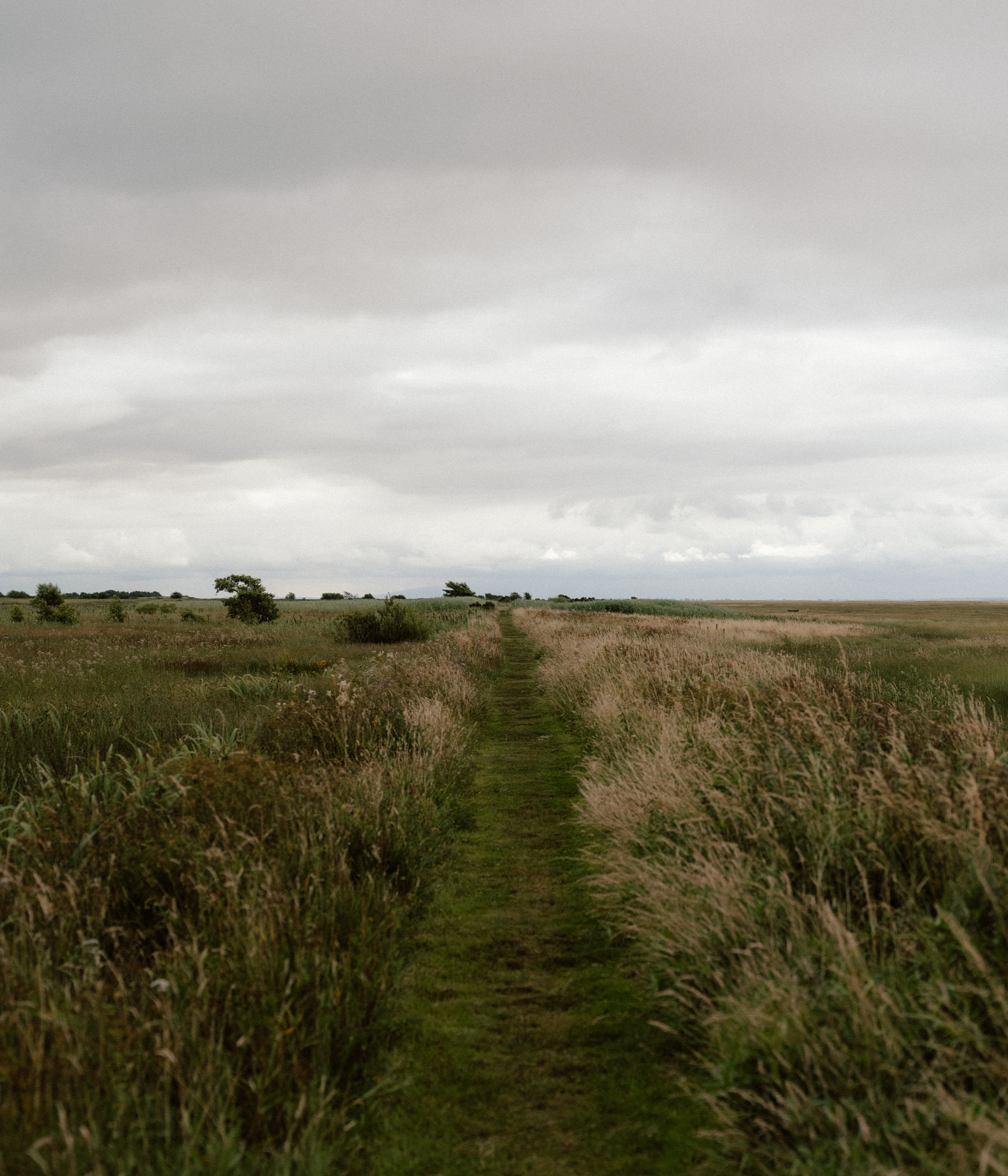 Caerlaverock Nature Reserve