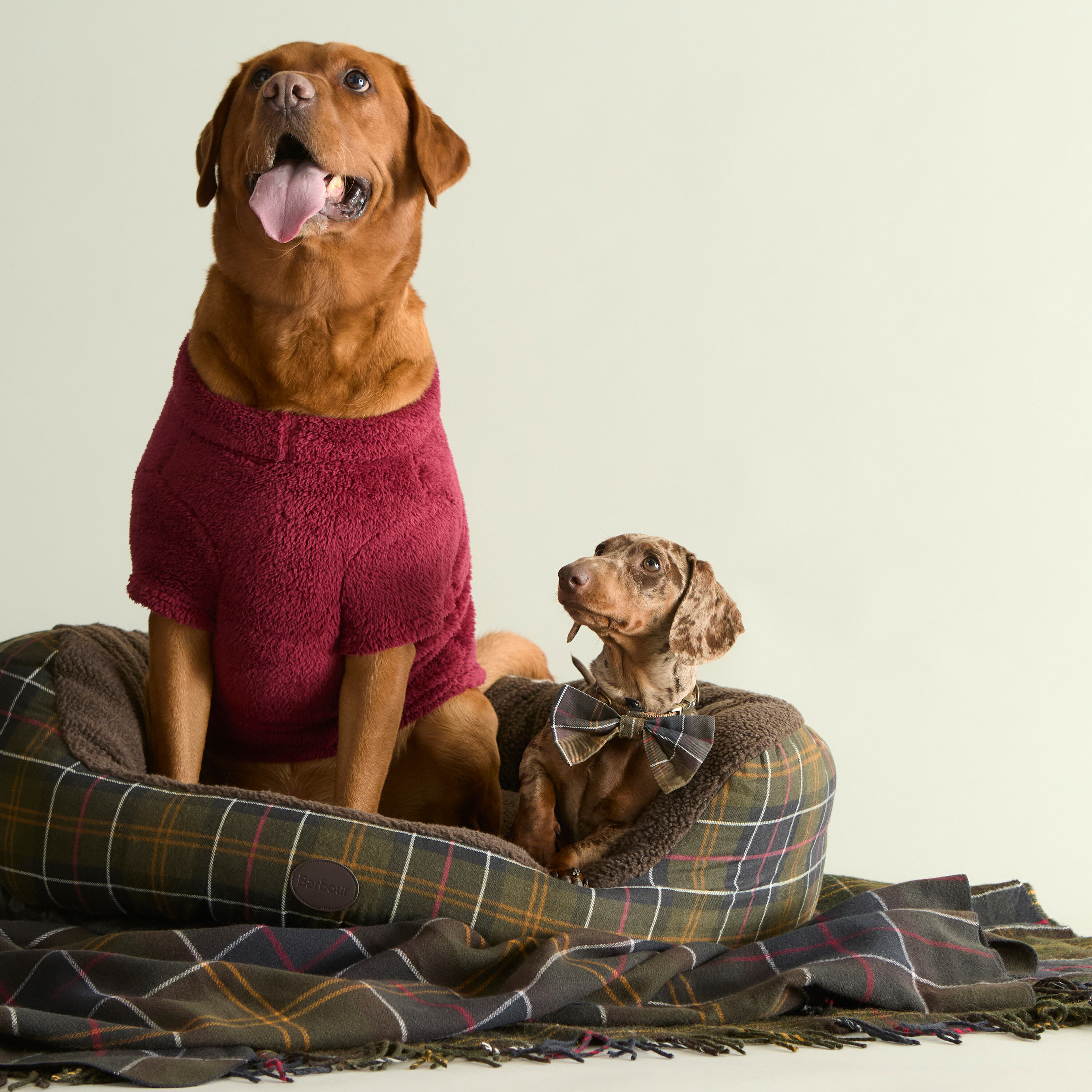 Barbour Dogs