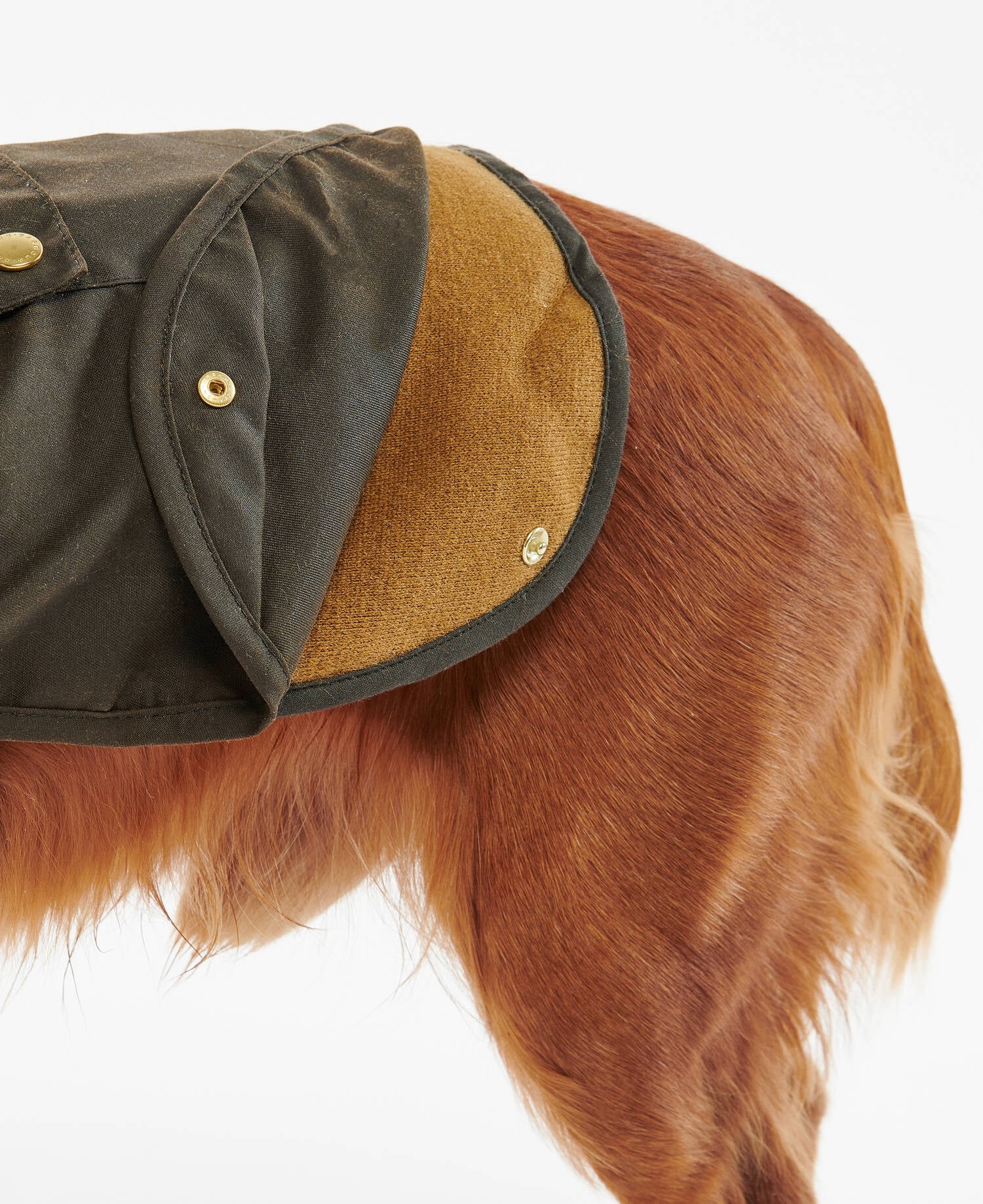 2-in-1 Waxed Dog Coat Olive image number 2
