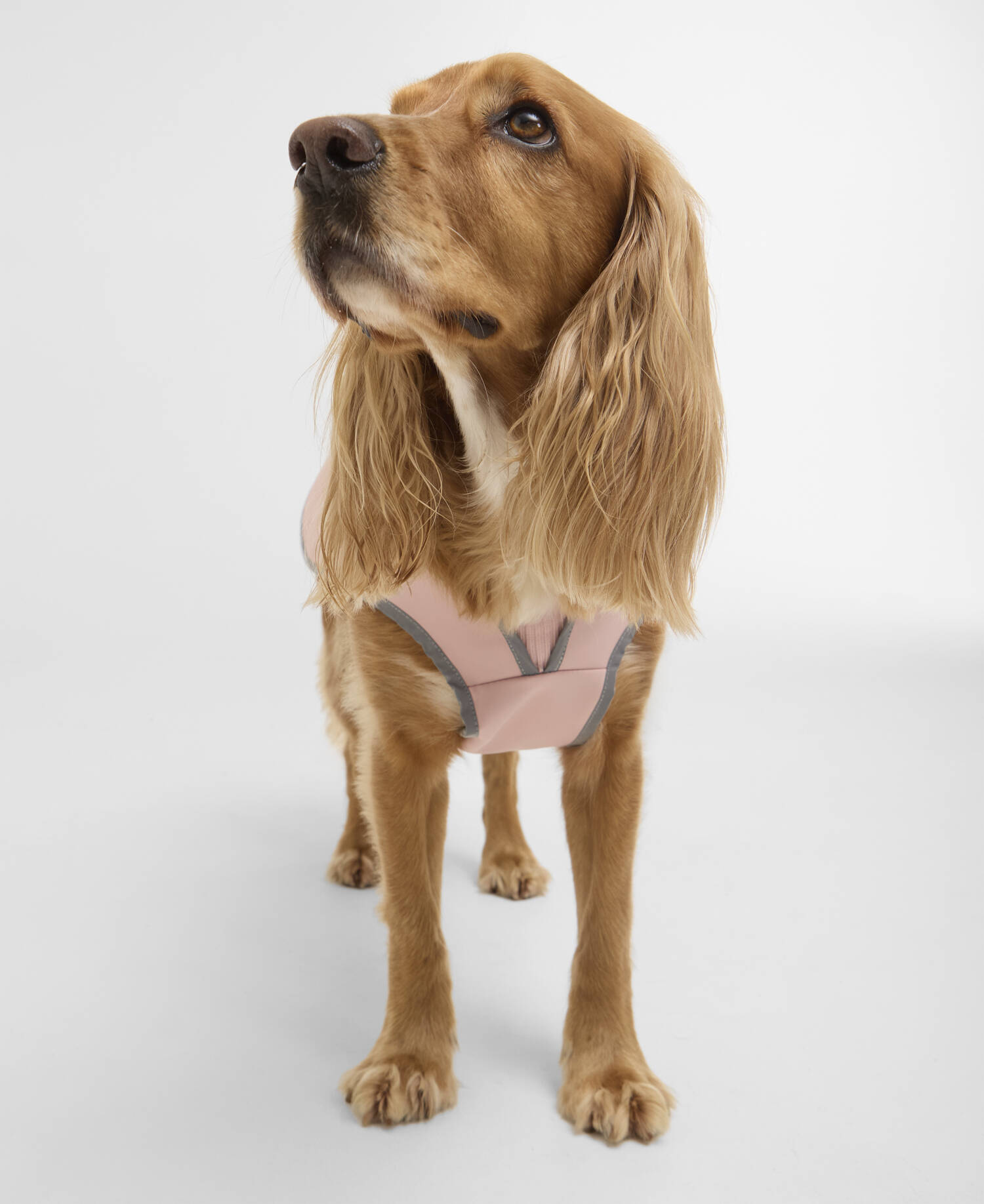 Evie Waterproof Dog Coat Gardenia Pink image number 1