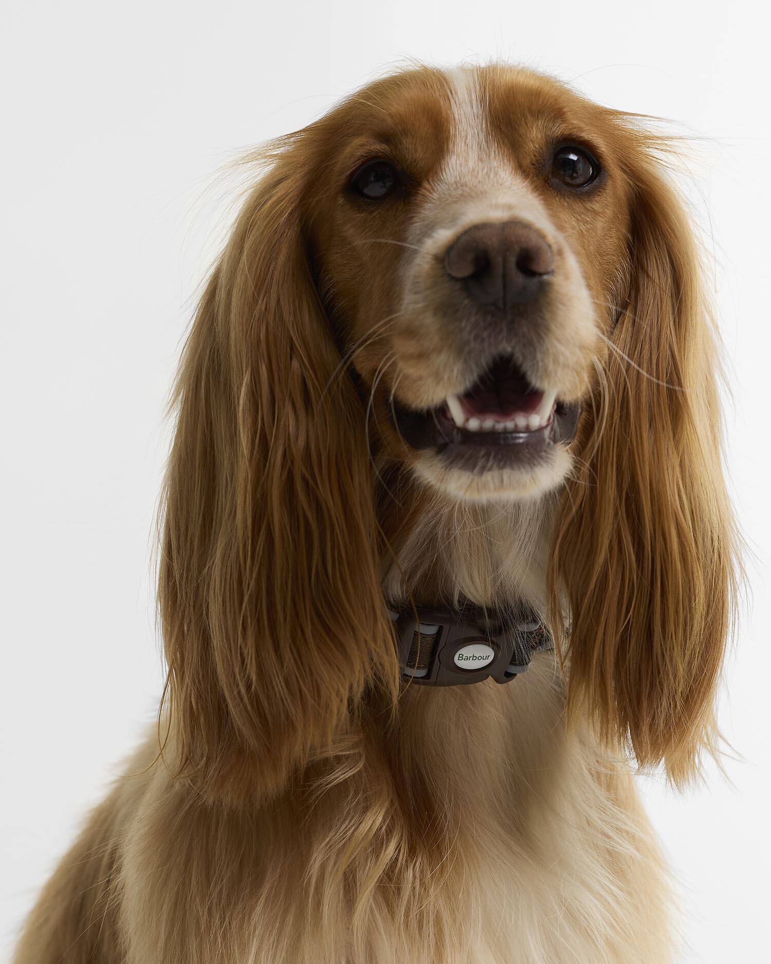 Barbour Hundehalsband Reflective Tartan Classic Tartan image number 1