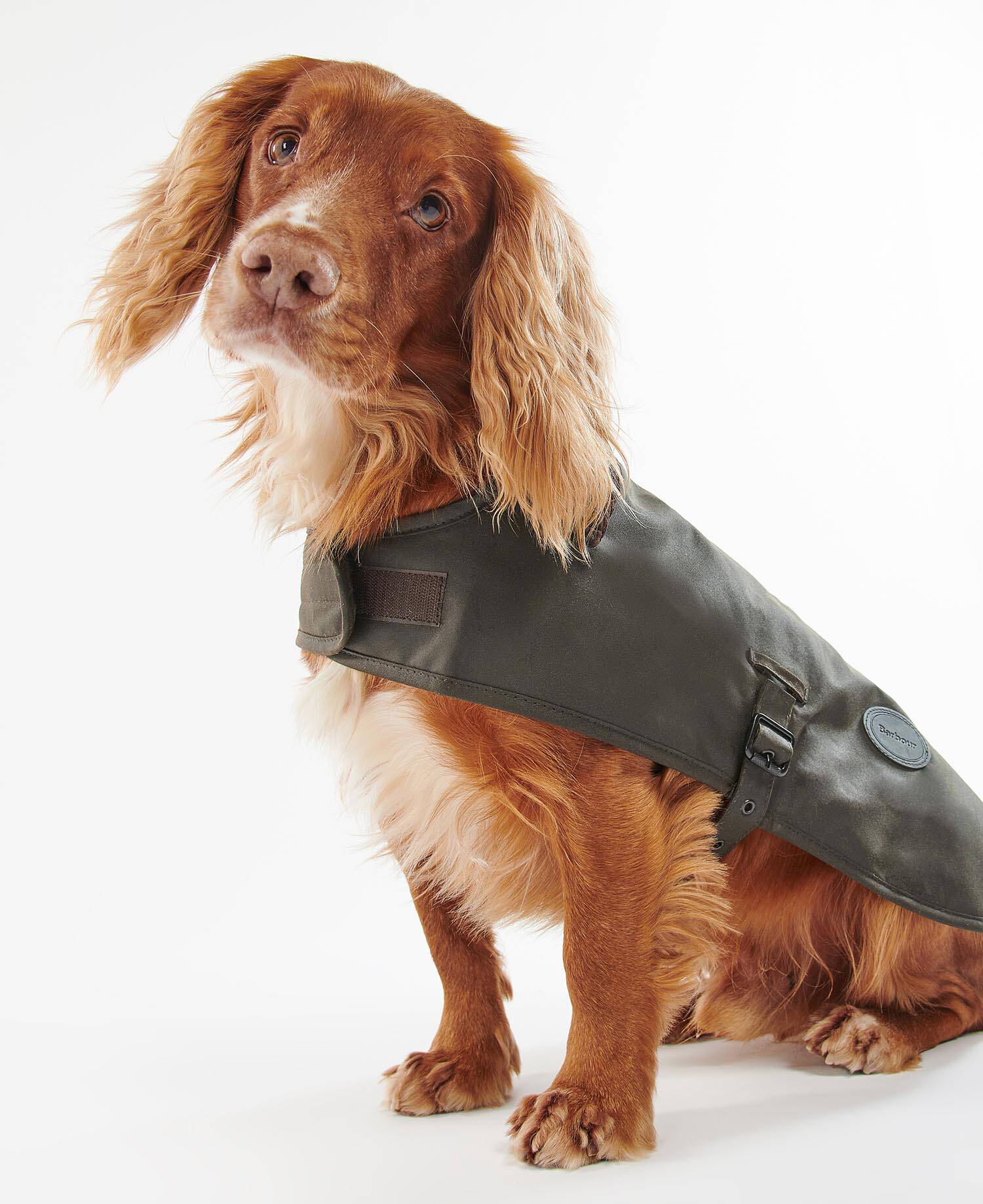 Waxed Dog Coat Olive image number 1