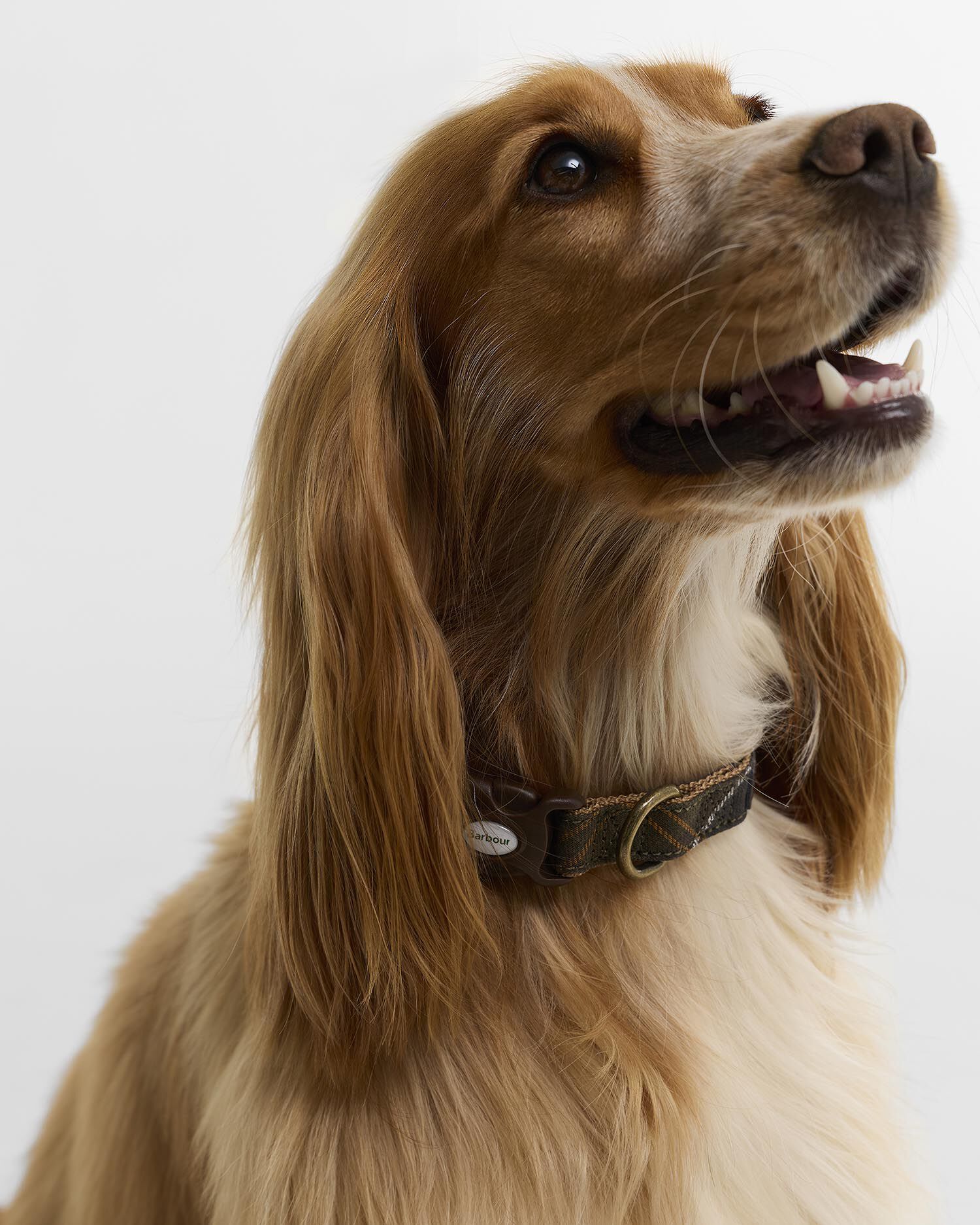 Barbour Hundehalsband Tartan & Webbing Classic Tartan