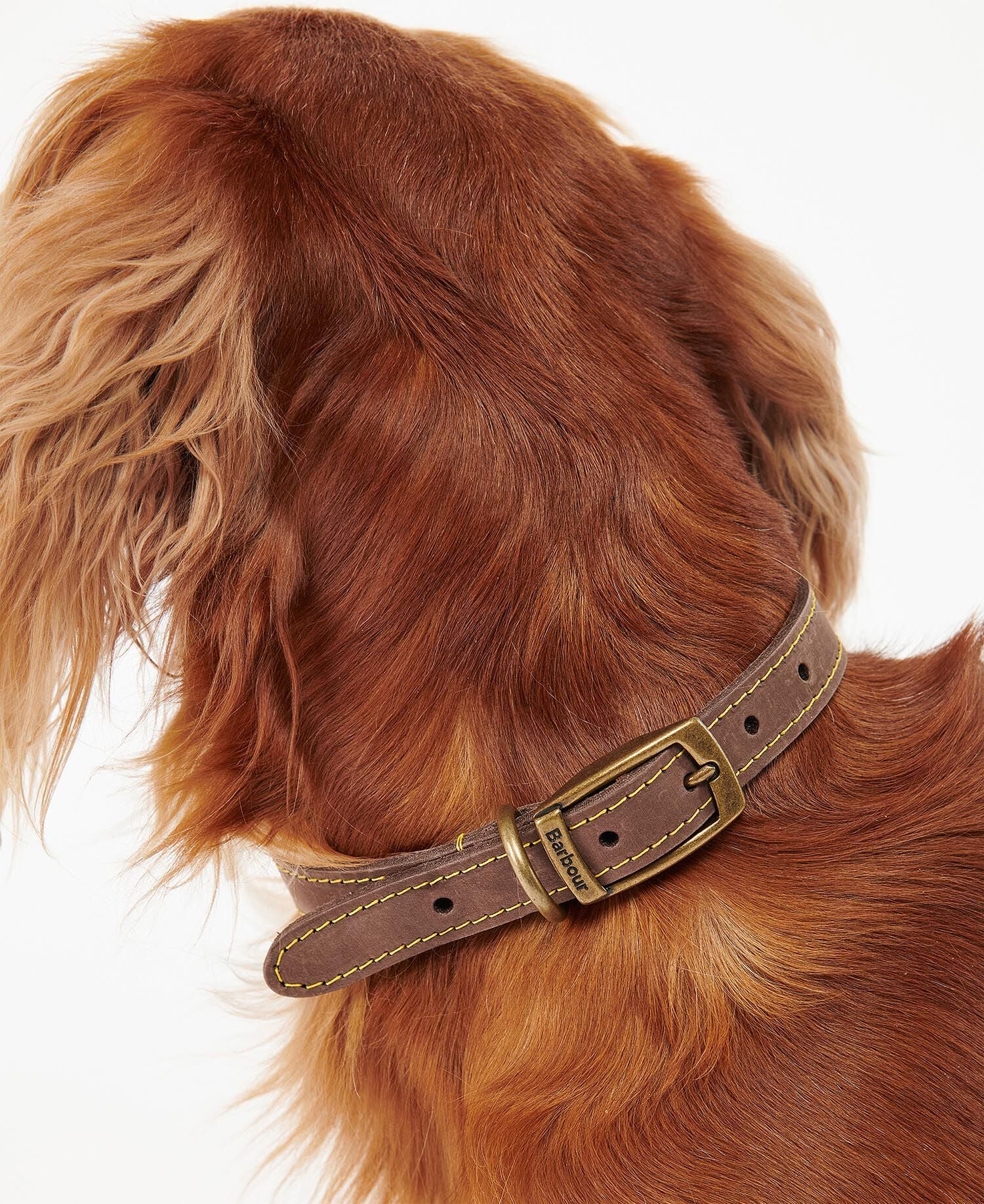 Leder Halsband