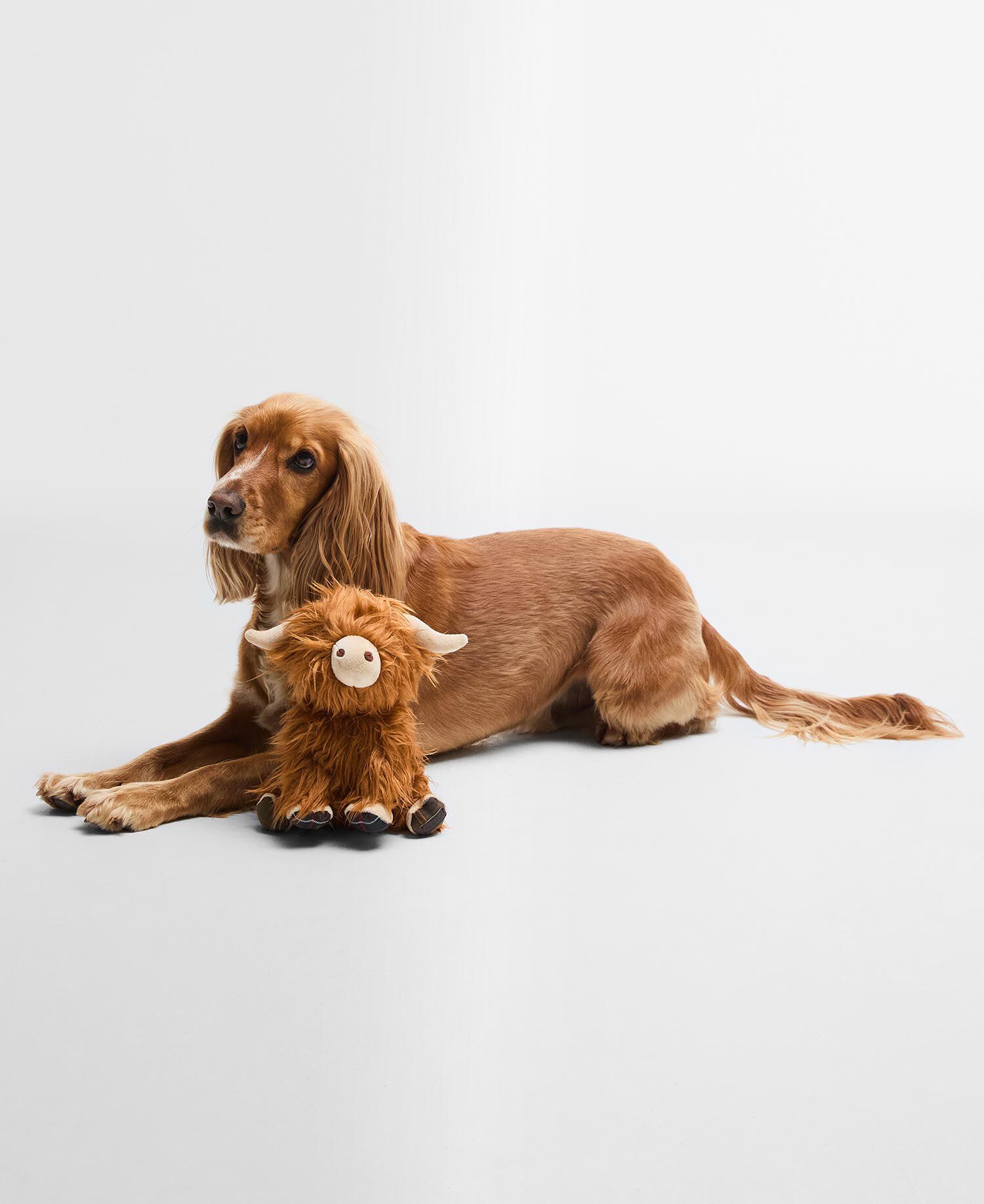 Highland Cow Dog Toy Brown/Classic