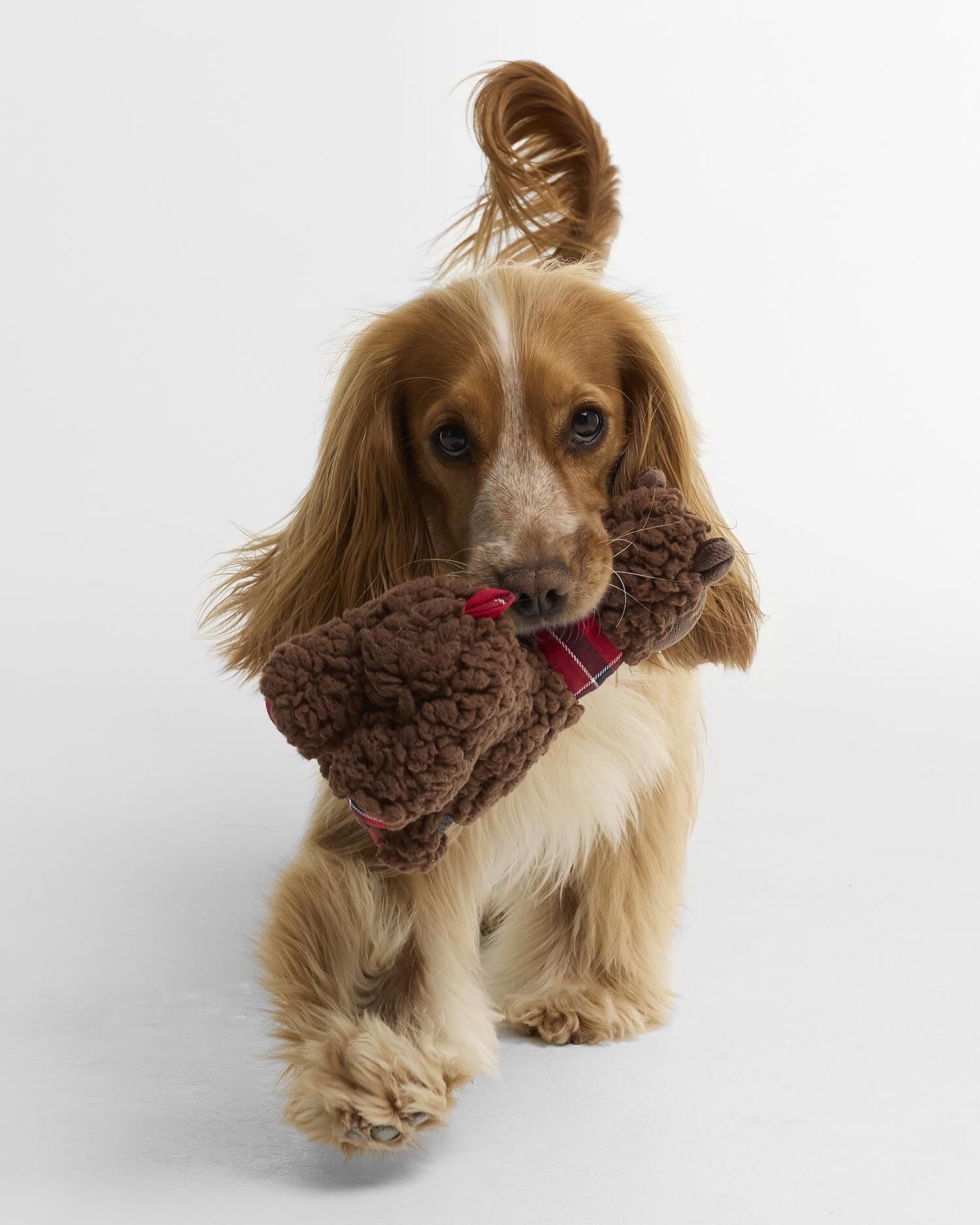 Giocattolo per cani a forma di lama Brown
