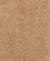 Classic Beige/Oliveswatch